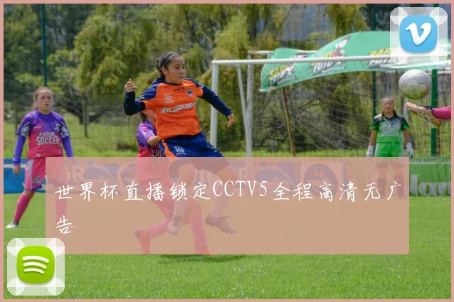 世界杯直播锁定CCTV5全程高清无广告