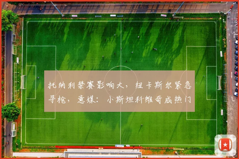 托纳利禁赛影响大，纽卡斯尔紧急寻枪，意媒：小斯坦科维奇成热门替代人选